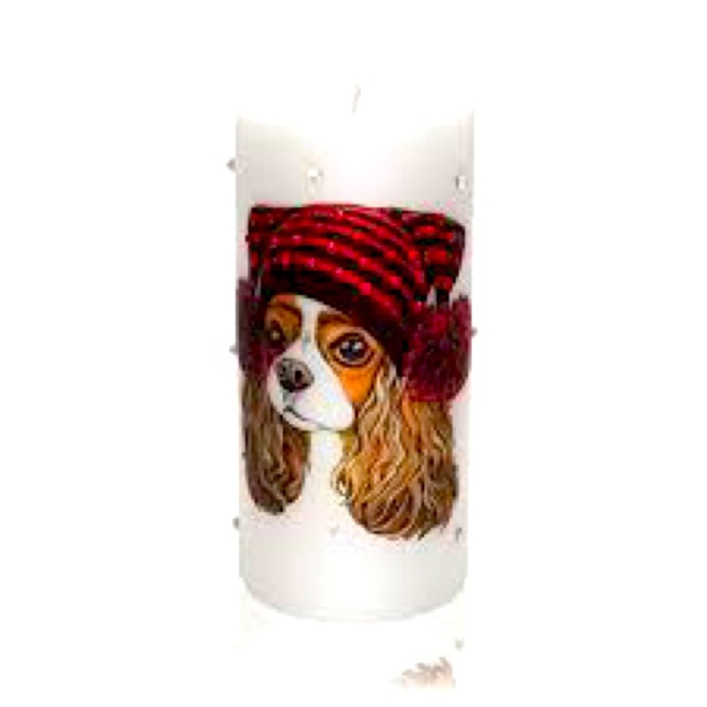 Sam and Wishbone Candle